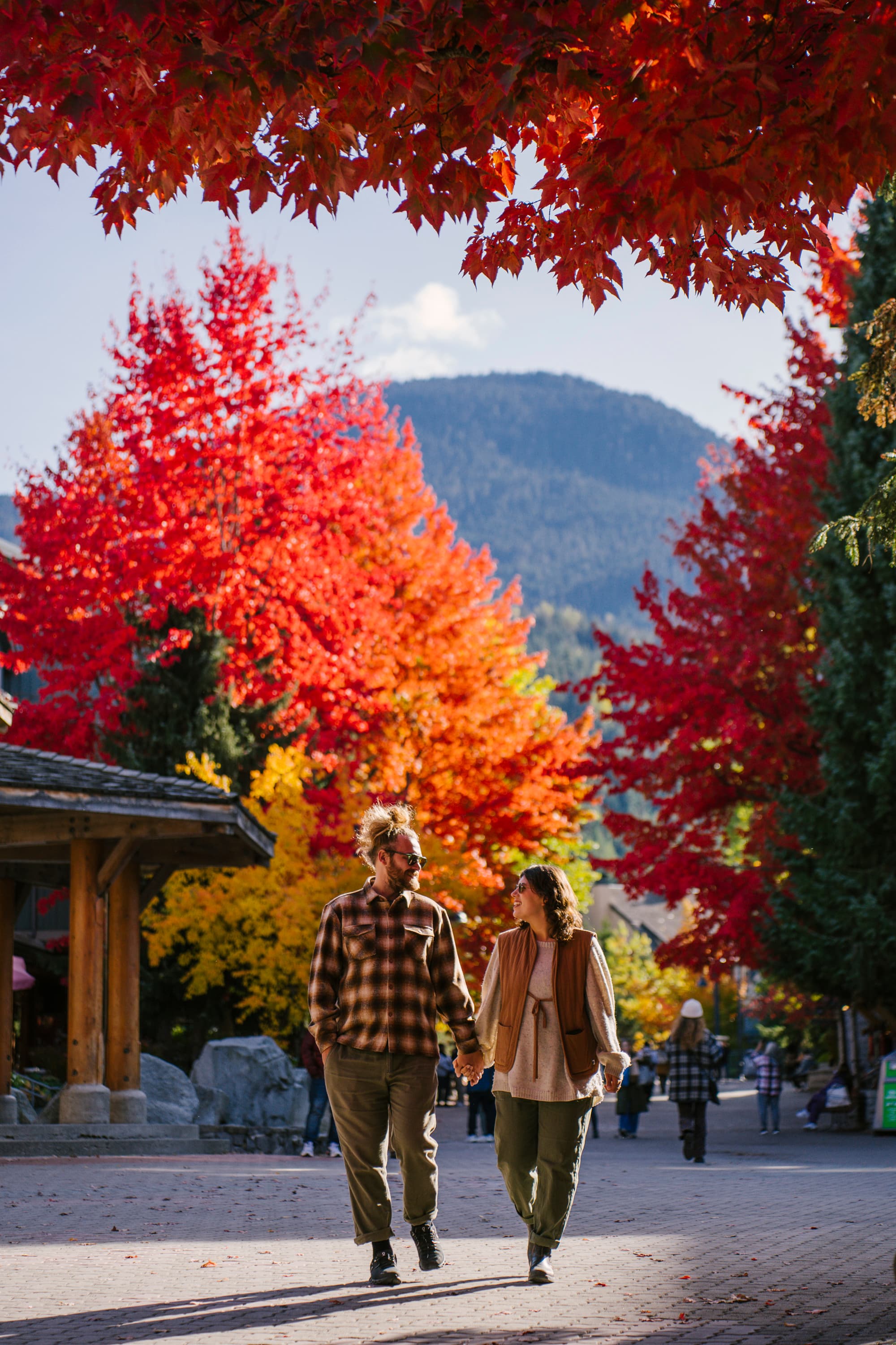 Behind the scenes working together